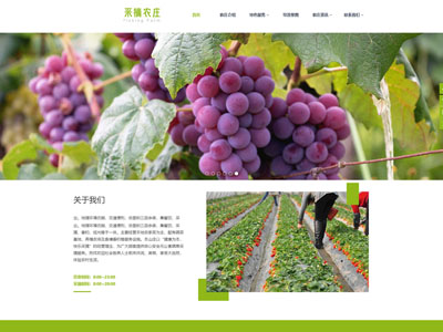 營(yíng)口淺綠寬屏農(nóng)莊采摘網(wǎng)站建設(shè)-案例