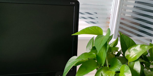 軟件開發(fā)公司.jpg 軟件開發(fā)公司.jpg